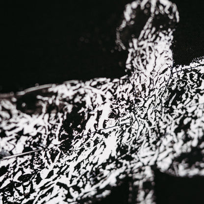 ACRYLIC ART MINI - BLACK DRAGON-FLY