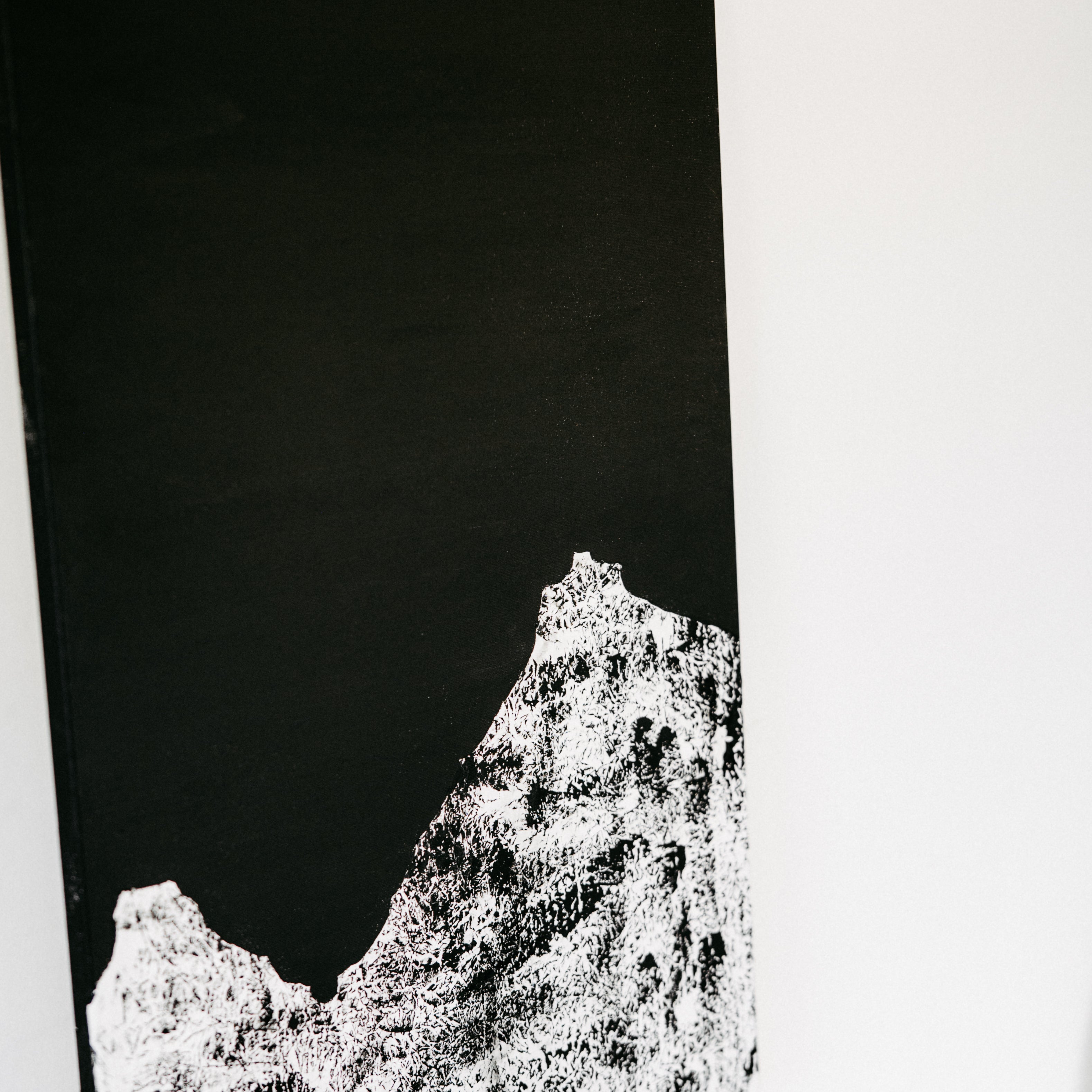 ACRYLIC ART - MOUNTAIN PORTRAIT